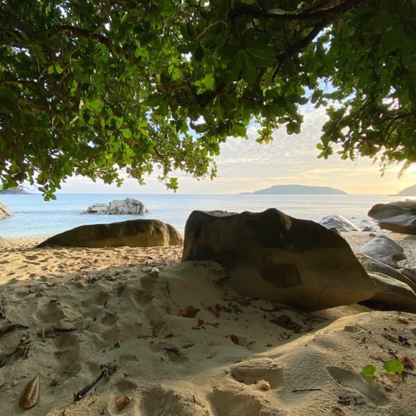 Seychelles 5 nights