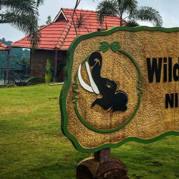 Wild Planet Jungle Resorts