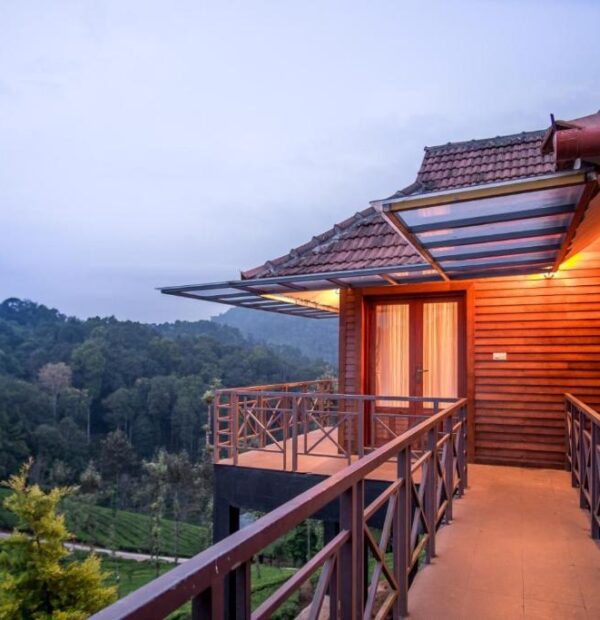 Wild Planet Jungle Resorts