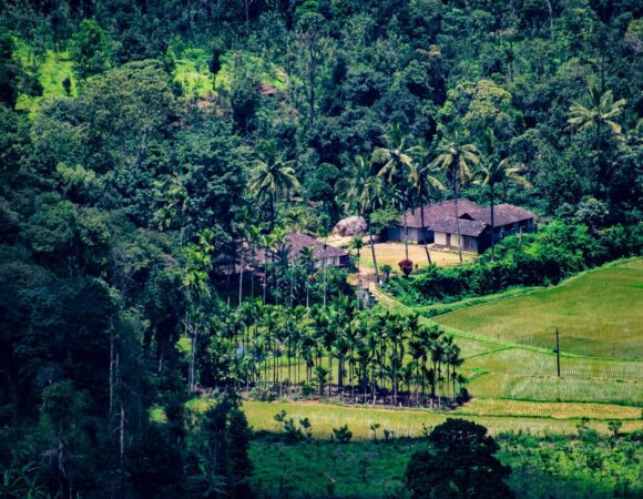Visiting Coorg? Book these top luxurious stays