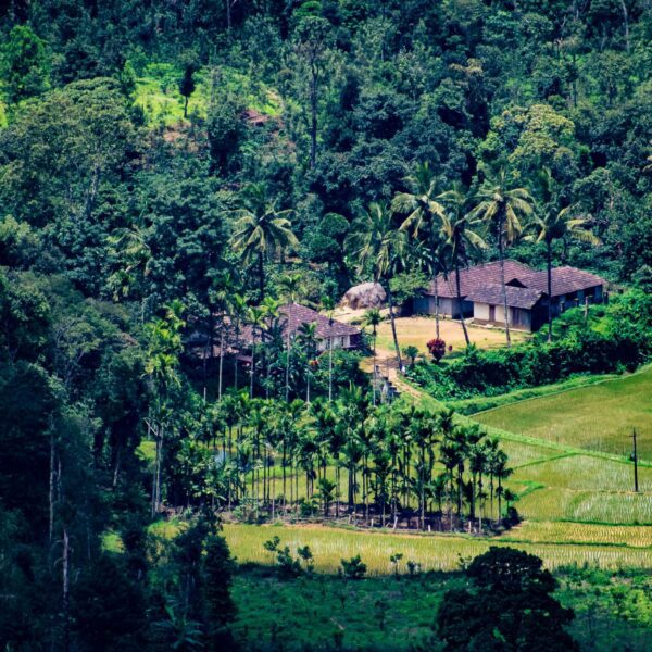 Visiting Coorg? Book these top luxurious stays