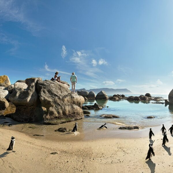 Why April-May is the Ideal Time to Visit Cape Town
