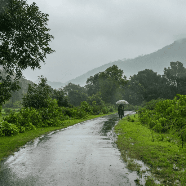 Weekend Getaways from Bangalore this Monsoon